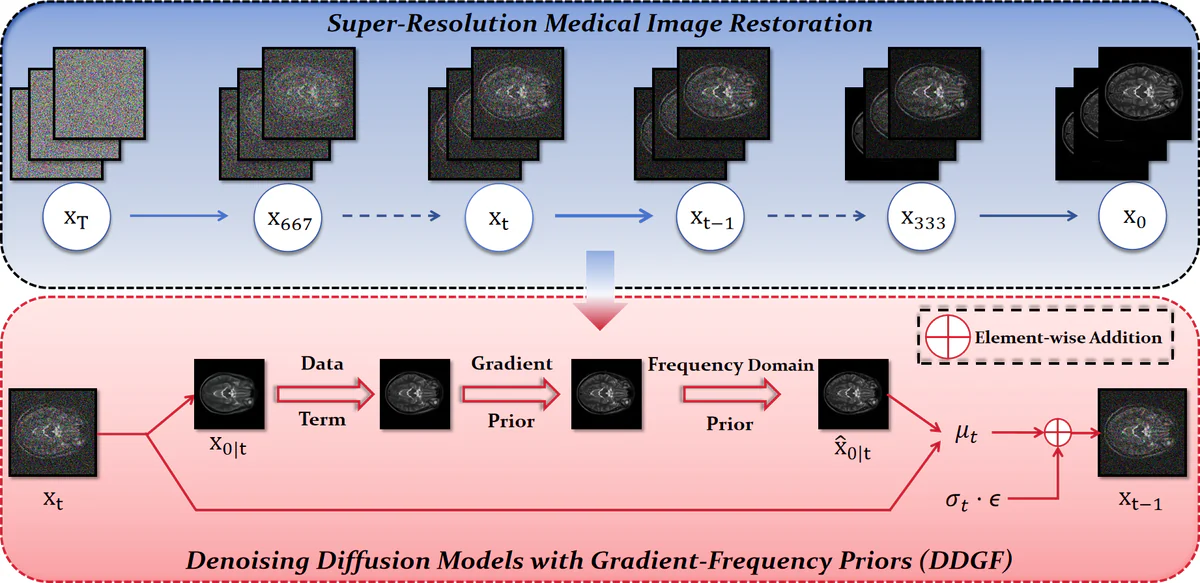 Overview of the DDGF medical image super-resolution framework