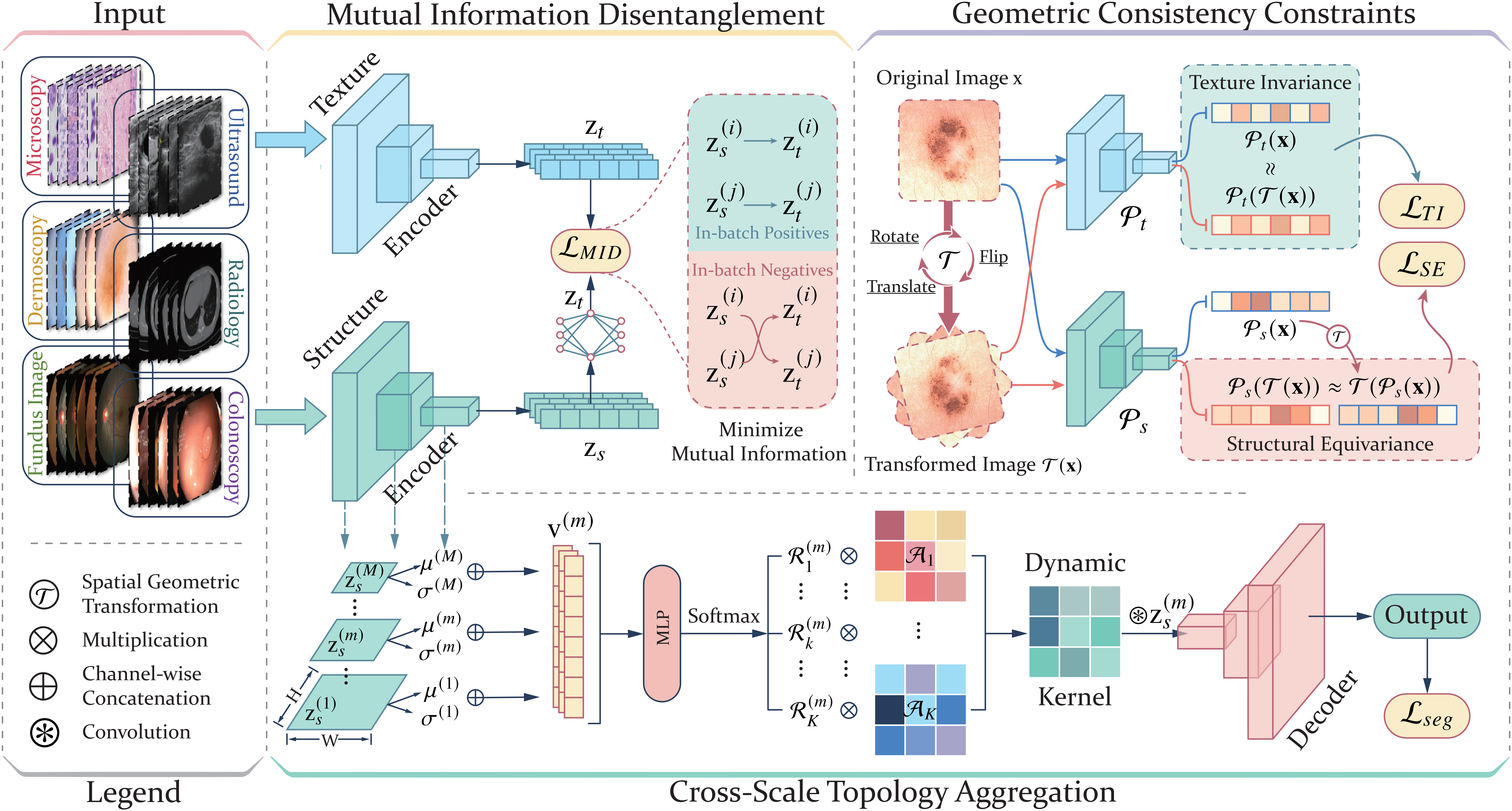Overview of the OrthoSeg framework